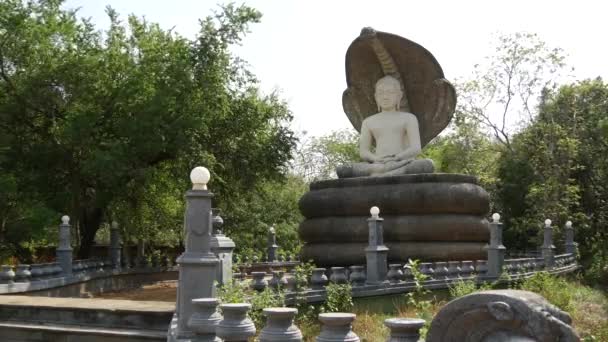 Estatua Buda Cerca Sigiraya Roca León Pidurangala Sri Lanka — Vídeo de stock