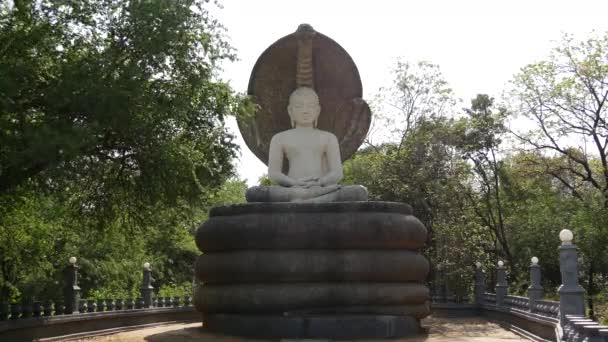 Άγαλμα Του Βούδα Κοντά Στη Sigiraya Πέτρα Λιοντάρι Και Pidurangala — Αρχείο Βίντεο