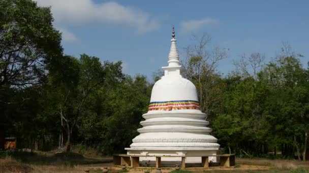 Pagoda Nära Sigiraya Lejonsten Och Pidurangala Sri Lanka — Stockvideo