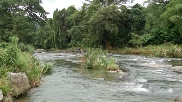 Fluss Der Zentralen Provinz Sri Lanka — Stockvideo