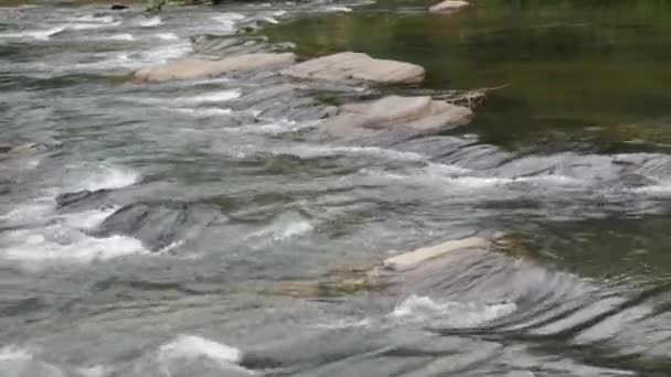 Strumień Wody Rzeki Prowincji Centralnej Sri Lanka — Wideo stockowe