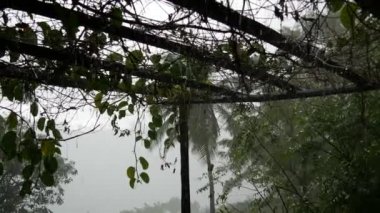 Central Eyaleti, Sri Lanka 'da yoğun tropikal yağmur yağışıweather forecast