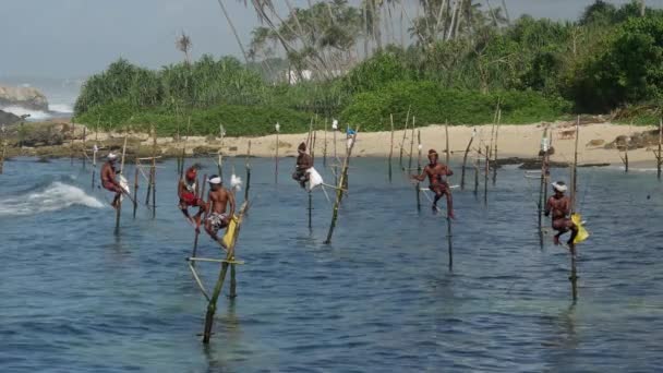 Pesca Altura Galle Sri Lanka — Video Stock
