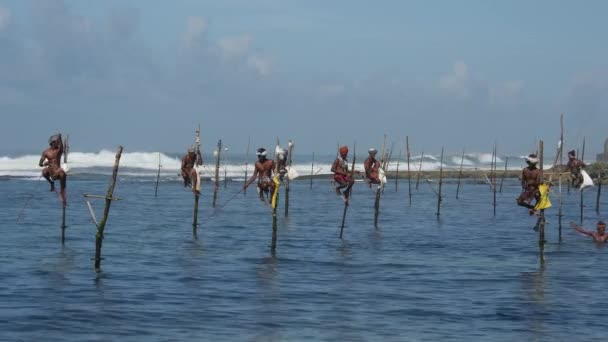 Galle Sri Lanka Stilt Fish — Stok video