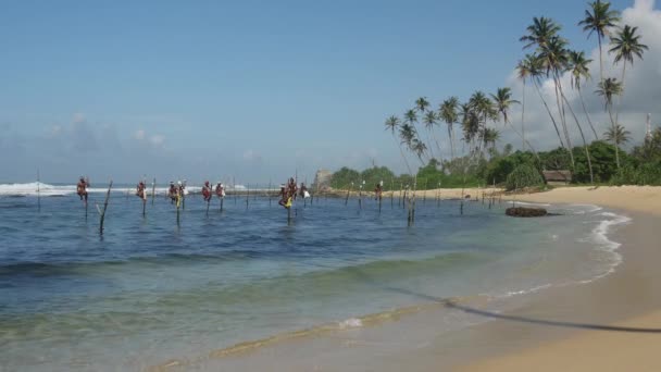 Stilt Fishing Galle Vicino Alla Spiaggia Sri Lanka — Video Stock