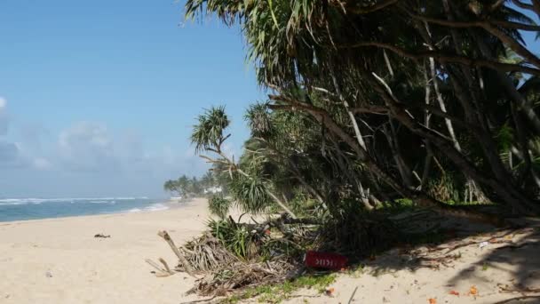 Panela Uma Praia Areia Branca Torno Galle Sri Lanka — Vídeo de Stock