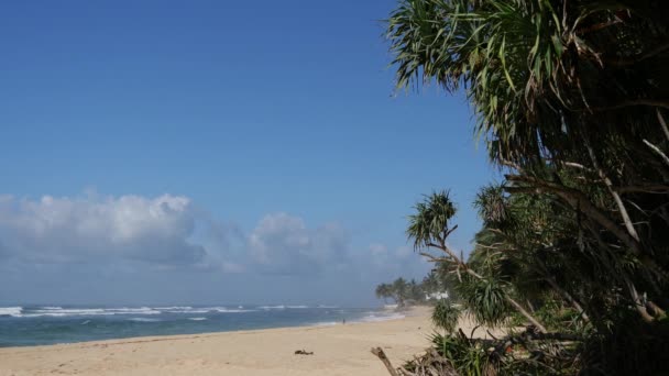 Wit Zandstrand Rond Galle Sri Lanka — Stockvideo