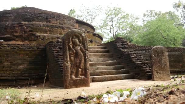 Fleur Blanche Devant Stupa Kaludiya Pokuna Ancien Site Sri Lanka — Video
