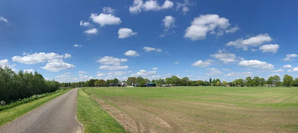 Panoráma Táj Veldhoek Körül Gelderland Hollandia — Stock Fotó