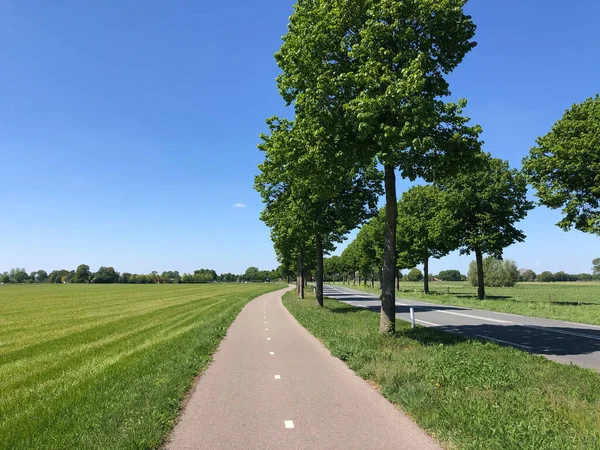 Kerékpárút Zelhem Körül Gelderlandben Hollandiában — Stock Fotó