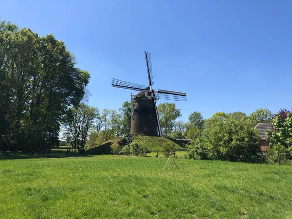 オランダのゲルダーラント州ウィットビングにあるWindmill — ストック写真