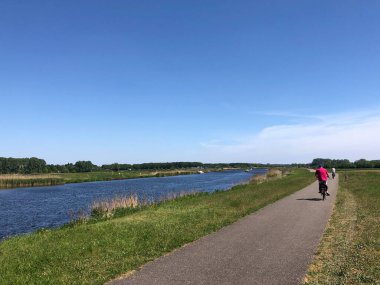 Gelderland, Hollanda 'daki Doesburg civarında eski IJssel boyunca bisiklet süren turistler