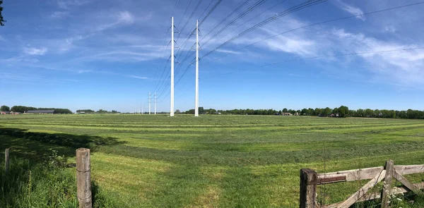 Elektrické Sloupy Okolí Etten Gelderland Nizozemsko — Stock fotografie