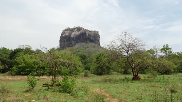 Sigiriya Lion Rock Sri Lanka — Stockvideo