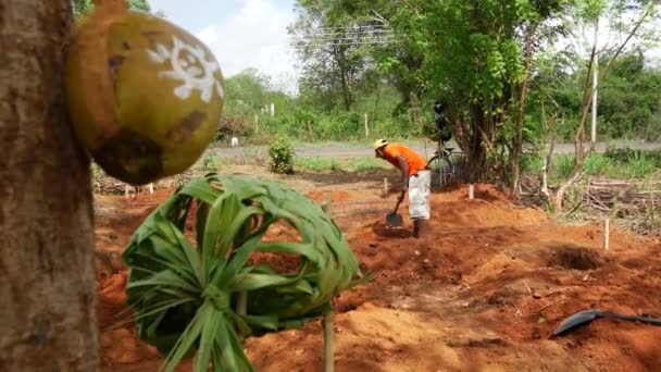 Offre Aux Esprits Avant Construire Une Maison Sri Lanka — Video