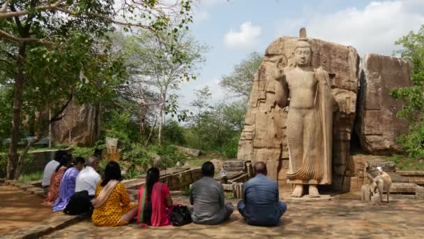 Personas Rezando Frente Estatua Del Buda Aukana Sri Lanka — Vídeo de stock