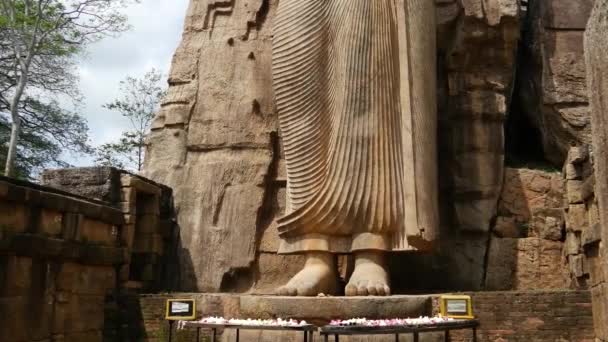 Tilt Aukana Buddha Statue Sri Lanka — Stock Video
