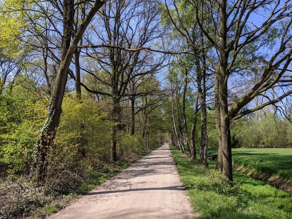 Gravel road around Oosterwijk during spring in Gelderland, The Netherlands