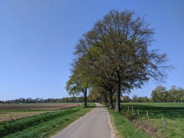 Δρόμος Προς Hengelo Στο Gelderland Κατά Διάρκεια Μιας Ηλιόλουστης Ανοιξιάτικης — Φωτογραφία Αρχείου