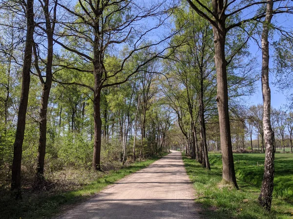 Estrada Cascalho Torno Oosterwijk Durante Primavera Gelderland Países Baixos — Fotografia de Stock