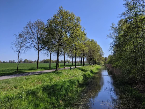 Egy Csatorna Mellett Gelderlandben Tavasszal Hollandiában — Stock Fotó
