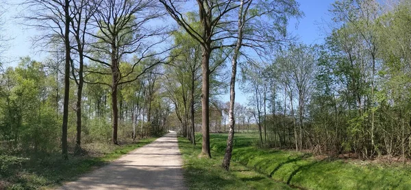Route Gravier Autour Oosterwijk Printemps Gueldre Pays Bas — Photo