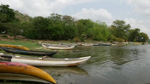 Små Fiskebåtar Vid Sjö Anuradhapura Sri Lanka — Stockvideo