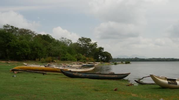 Små Fiskebåtar Vid Sjö Anuradhapura Sri Lanka — Stockvideo