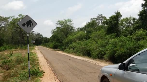 Auto Fährt Sri Lanka Einem Elefantenschild Vorbei — Stockvideo