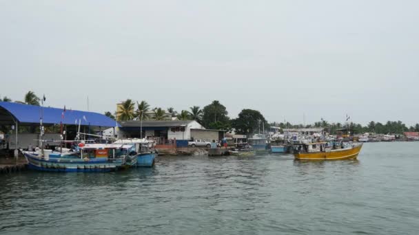 Barca Pesca Che Lascia Mercato Del Pesce Porto Negombo Costa — Video Stock