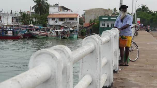 Pescadores Pie Puente Pesca Negombo Costa Oeste Sri Lanka — Vídeo de stock