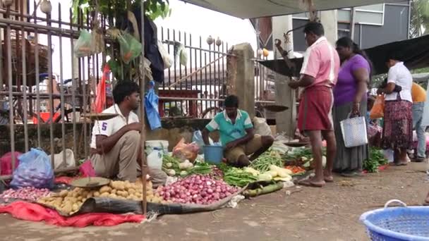 People Selling Buying Fruit Vegetables Fish Market Negombo West Coast — Stock Video