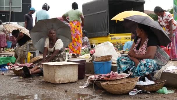 スリランカ西海岸のネゴンボ市場で魚を売る高齢女性 — ストック動画