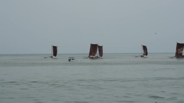 Traditionele Vissersboot Negombo Westkust Sri Lanka — Stockvideo