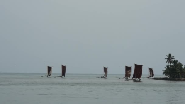 Традиционная Рыбацкая Лодка Негомбо Западное Побережье Шри Ланки — стоковое видео