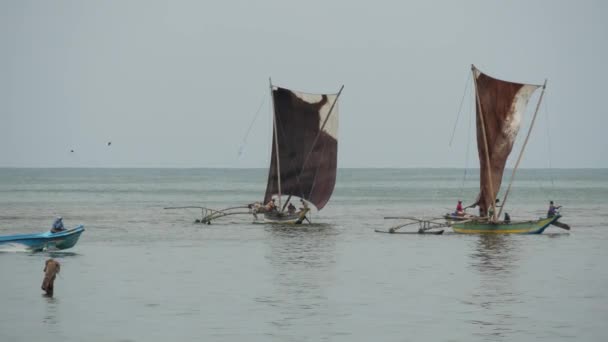 Традиционная Рыбацкая Лодка Негомбо Западное Побережье Шри Ланки — стоковое видео