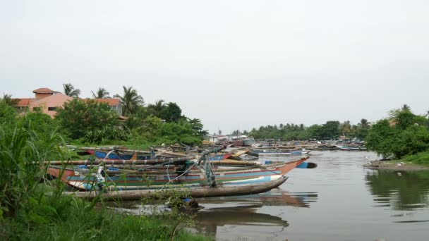Liten Traditionell Fiskebåt Negombo Västkusten Sri Lanka — Stockvideo