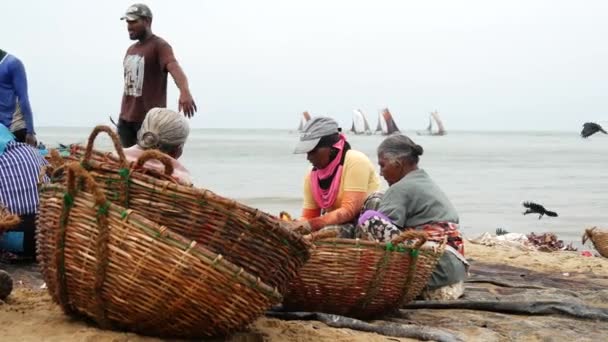 Kvinna Som Arbetar Fiskmarknaden Stranden Med Traditionella Fiskbåtar Bakgrunden Negombo — Stockvideo