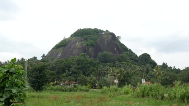 Mountain Anuradhapura District Sri Lanka — Stock Video