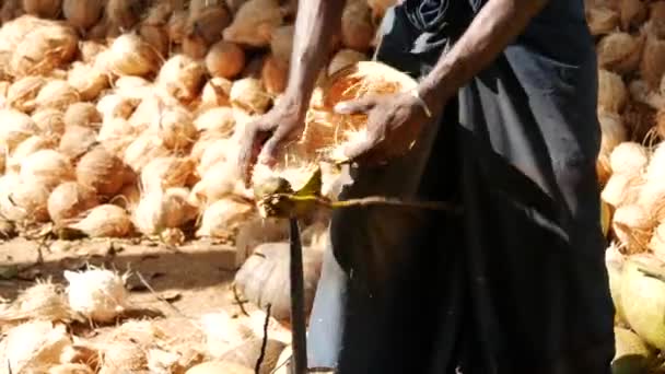 Homme Enlevant Coque Noix Coco Sri Lanka — Video