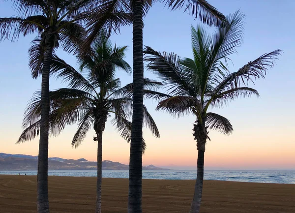 Las Palmas, Gran Canaria 'daki Las Canteras plajında gün doğumu