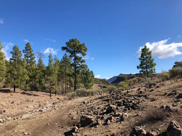 Paisajes Alrededor Del Embalse Las Ninas Gran Canaria — Foto de Stock