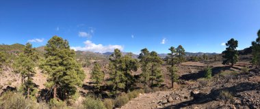 Gran Canaria 'daki Las Ninas Barajı çevresindeki panoramik manzara