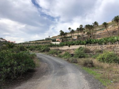 Gran Canaria adasındaki eski Las Palmas kasabasında