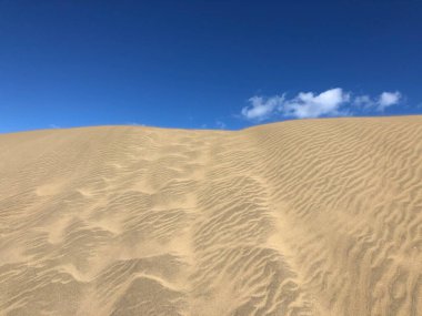 Gran Canaria 'daki Maspalomların kum tepeleri