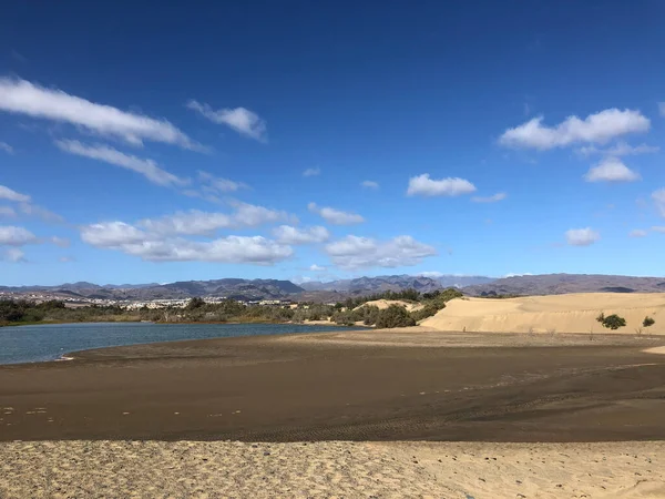 Αμμόλοφοι Του Maspalomas Στη Gran Canaria — Φωτογραφία Αρχείου