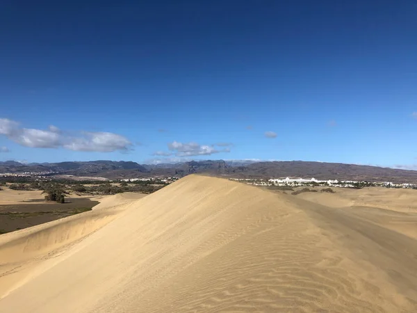 Αμμόλοφοι Του Maspalomas Στη Gran Canaria — Φωτογραφία Αρχείου