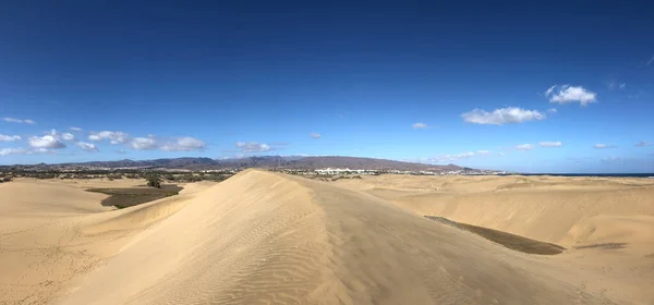 Gran Canaria Daki Maspalomların Kum Tepelerinden Panorama — Stok fotoğraf