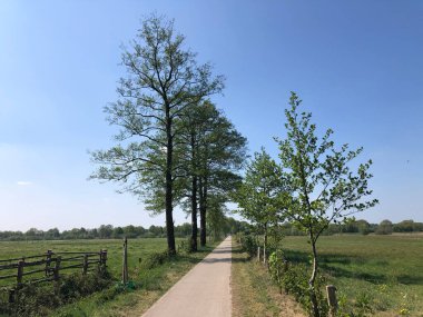 Hollanda 'daki Ommen civarında bisiklet yolu