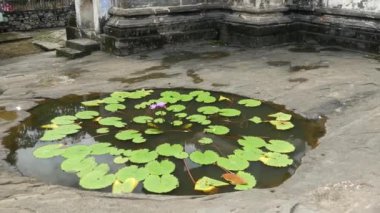 Göletten nilüfer çiçekleri ile Kansas, Sri Lanka 'daki lankatilaka tapınağından pagoda' ya kadar.